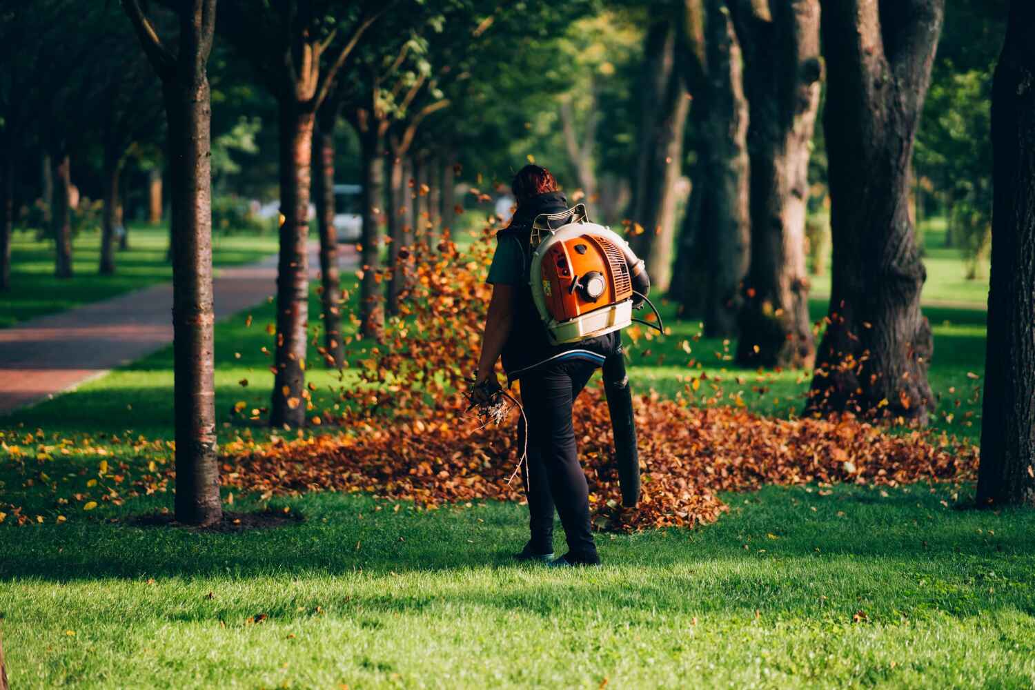 Best Emergency Storm Tree Removal  in Sebring, FL